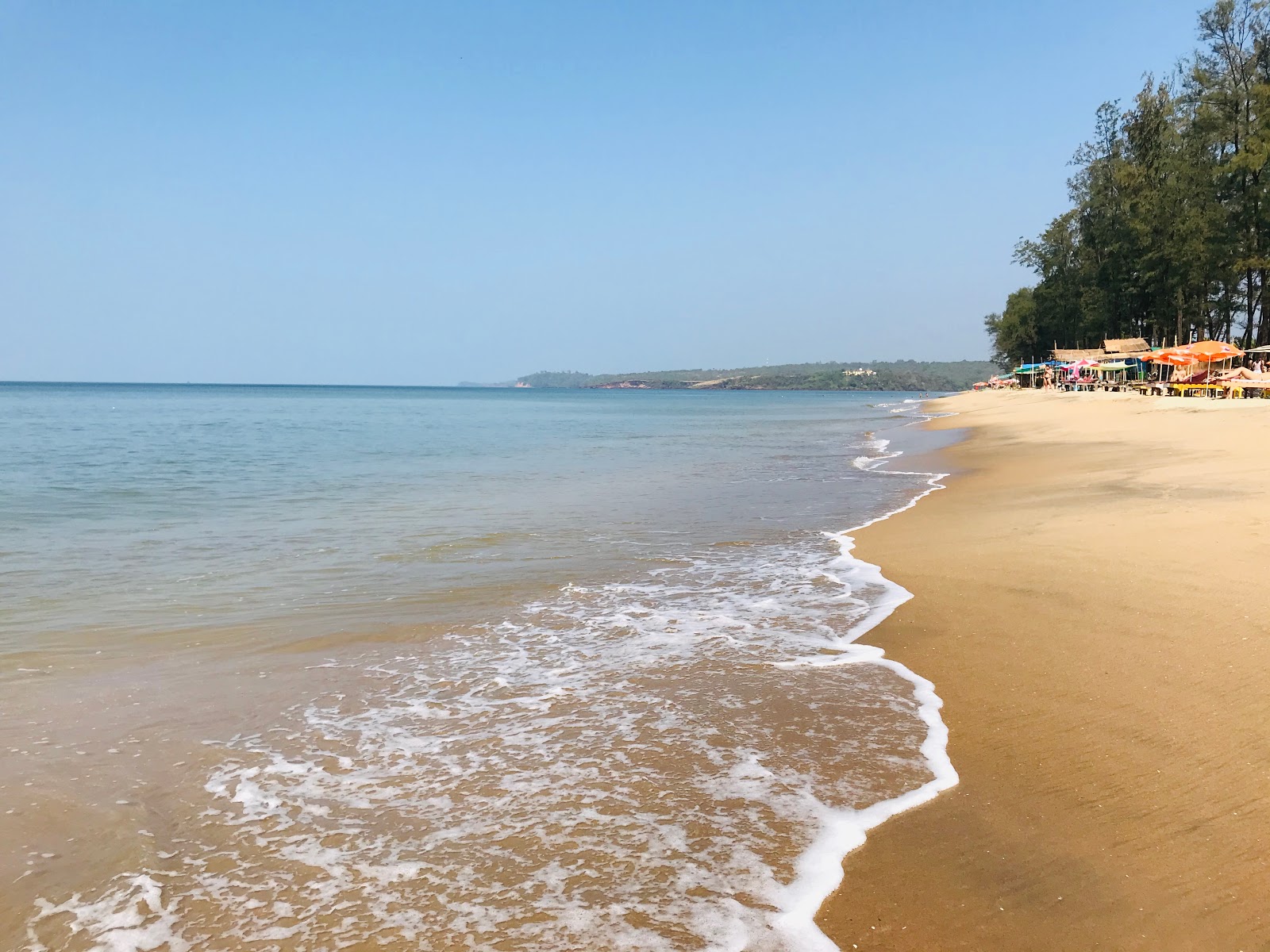 Querim Beach'in fotoğrafı imkanlar alanı