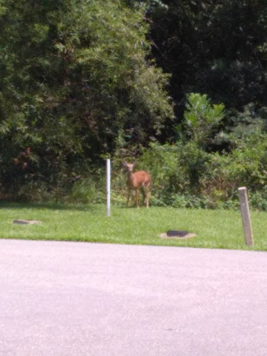 Golf Club «Kilmarlic Golf Club», reviews and photos, 215 West Side Ln, Powells Point, NC 27966, USA