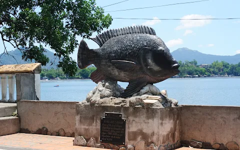 Sampaloc Lake image