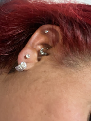 Explore goose tattoo ideas, creative tattoo ideas in Glendale, available at Bad Intentions Tattoo, Piercing & Supply, LLC