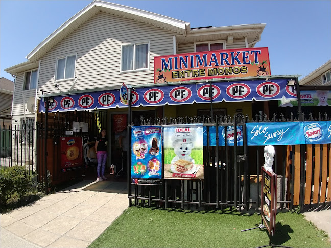 Minimarket Entre Monos