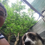 Photo n°9 de l'avis de Gerardo.n fait le 27/07/2021 à 14:56 sur le  Golden Park Ranch à Orsomarso