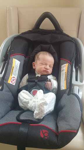 Car Dealer «Tamiami Ford», reviews and photos, 1471 Airport Pulling Rd N, Naples, FL 34104, USA