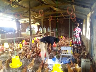 Kokoafric