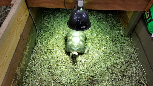 Pet Store «Just Pets», reviews and photos, 393 NY-5, Irving, NY 14081, USA