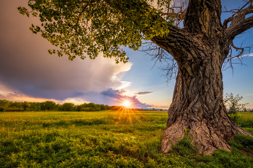 Park «17 Mile House Farm Park», reviews and photos, 8181 S Parker Rd, Centennial, CO 80112, USA