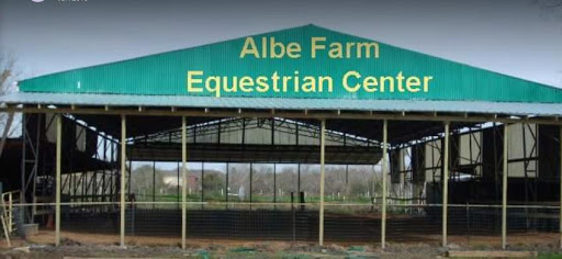 Albe Farm - Horse Riding Lessons and horse boarding