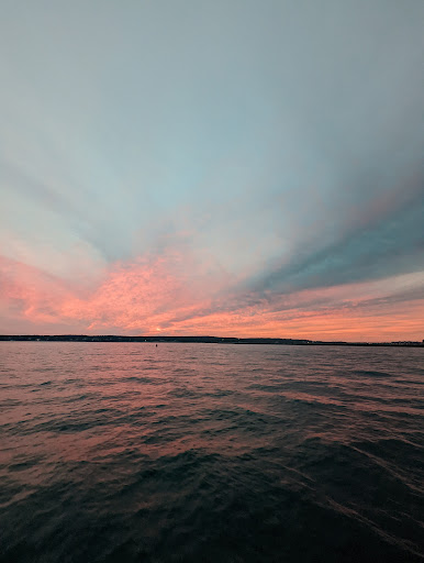 Whale Watching Tour Agency «7 Seas Whale Watch», reviews and photos, 63 Rogers St, Gloucester, MA 01930, USA