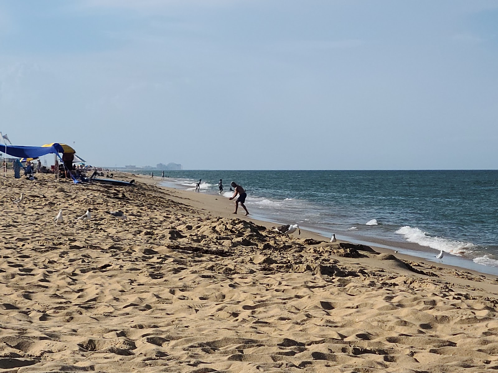 Sandbridge Beach的照片 - 推荐给有孩子的家庭旅行者