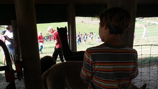 Boutique «Alpacas of the Heartland LLC», reviews and photos, 7016 County Rd 39, Fort Calhoun, NE 68023, USA