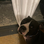 Photo n°4 de l'avis de alessandra.e fait le 08/07/2023 à 20:20 sur le  Agriturismo Aromi e Sapori à Leverano