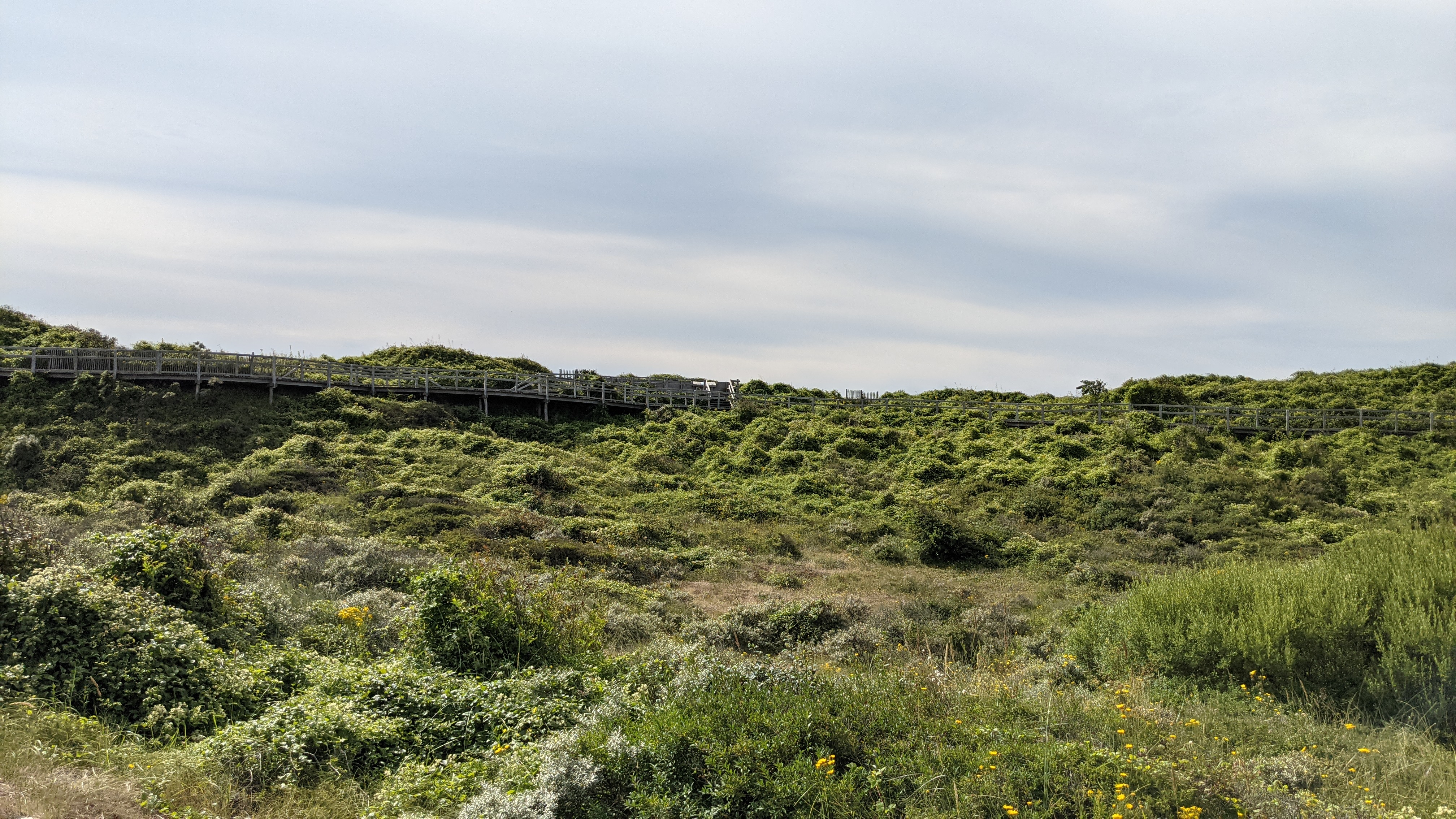 Photo n° 2 de l'avis de Rodrigue.a fait le 14/08/2021 à 17:02