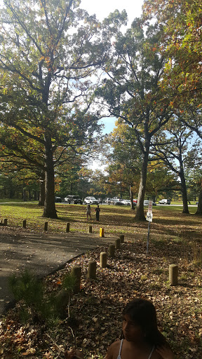Nature Preserve «Swallow Cliff Woods South», reviews and photos, Illinois Rt 83 & US Rt 45, Palos Park, IL 60464, USA