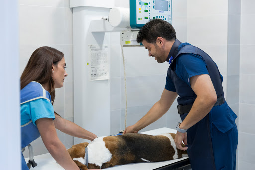 Animalicos Hospital de Día Veterinario en Cabezo de Torres