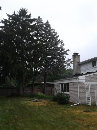 Tree Service «Polgar Tree Service & Removal LLC», reviews and photos