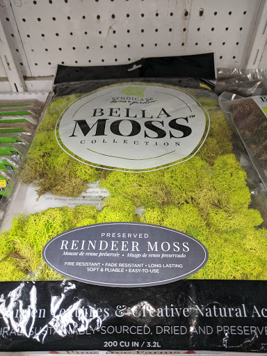 Garden Center «Sixteen Acres Garden Center», reviews and photos, 1359 Wilbraham Rd, Springfield, MA 01119, USA