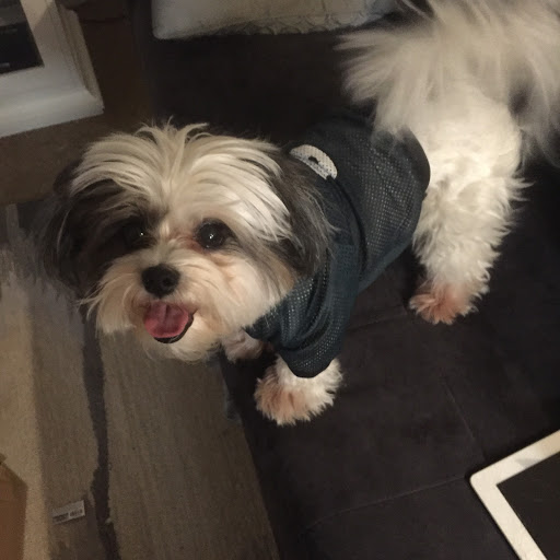 Pet Supply Store «Pet Supplies Plus», reviews and photos, 1407 Lincoln Hwy, Levittown, PA 19056, USA