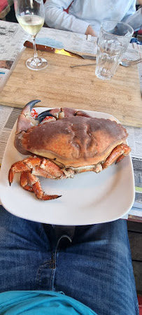 Metacarcinus magister du Restaurant de crabe Le Crabe Marteau à Brest - n°14