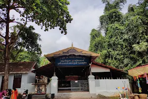 Aadimoolam Vetticode Sree Nagaraja Swami Temple image