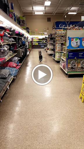 Pet Supply Store «PetSmart», reviews and photos, 711 US-41, Schererville, IN 46375, USA