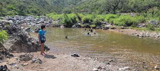 Pet Supply Store «Unleashed by Petco», reviews and photos, 2643 Tapo Canyon Rd c, Simi Valley, CA 93063, USA