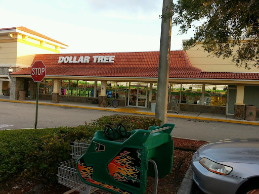 Dollar Store «Dollar Tree», reviews and photos, 10044 Griffin Rd, Cooper City, FL 33328, USA