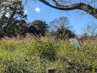 鹿島古墳群(鹿島古墳公園)