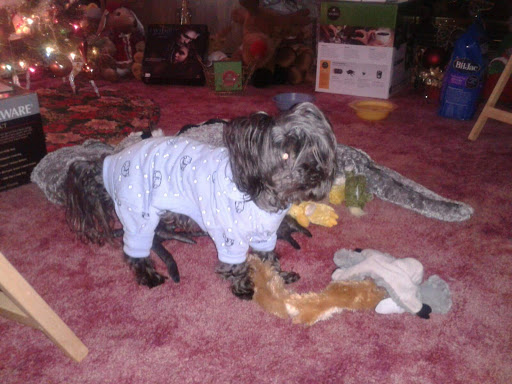 Pet Supply Store «PBS Animal Health», reviews and photos, 2780 Richville Dr SE, Massillon, OH 44646, USA