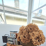 Photo n°9 de l'avis de Nathalie. fait le 14/09/2021 à 16:22 sur le  Gian Paul Hotel à Lavagna