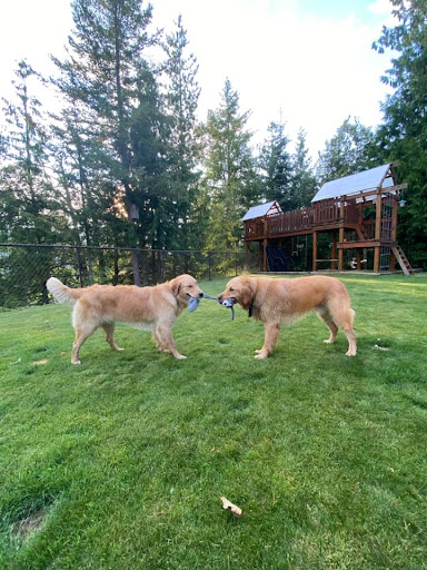 Animal Health Clinic Of Humboldt image