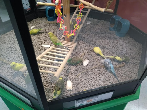 Pet Supply Store «Petco Animal Supplies», reviews and photos, 103 Commerce Way a, Woburn, MA 01801, USA
