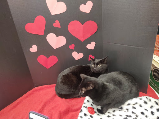 Pet Supply Store «PetSmart», reviews and photos, 8175 Arbor Square Dr, Mason, OH 45040, USA