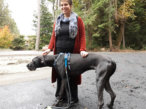 Golf Club «Meadowmeer Golf & Country Club», reviews and photos, 8530 Renny Ln NE, Bainbridge Island, WA 98110, USA