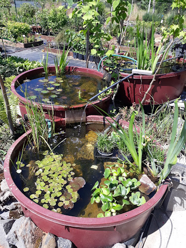 Magyar Kertészet és Bambuszerdő - Kertészkedő