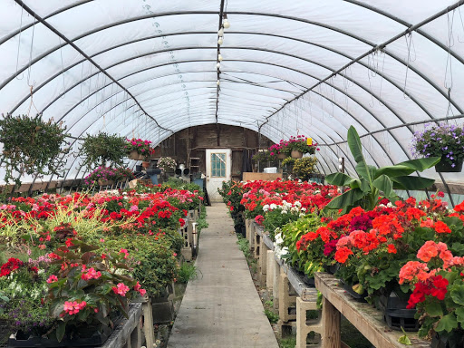 Florist «Yard Works», reviews and photos, 1309 Warwick Ave, Warwick, RI 02888, USA