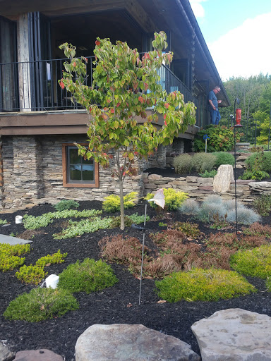 Vineyard «Laurentia Vineyard & Winery», reviews and photos, 4599 S Madison Rd, Madison, OH 44057, USA