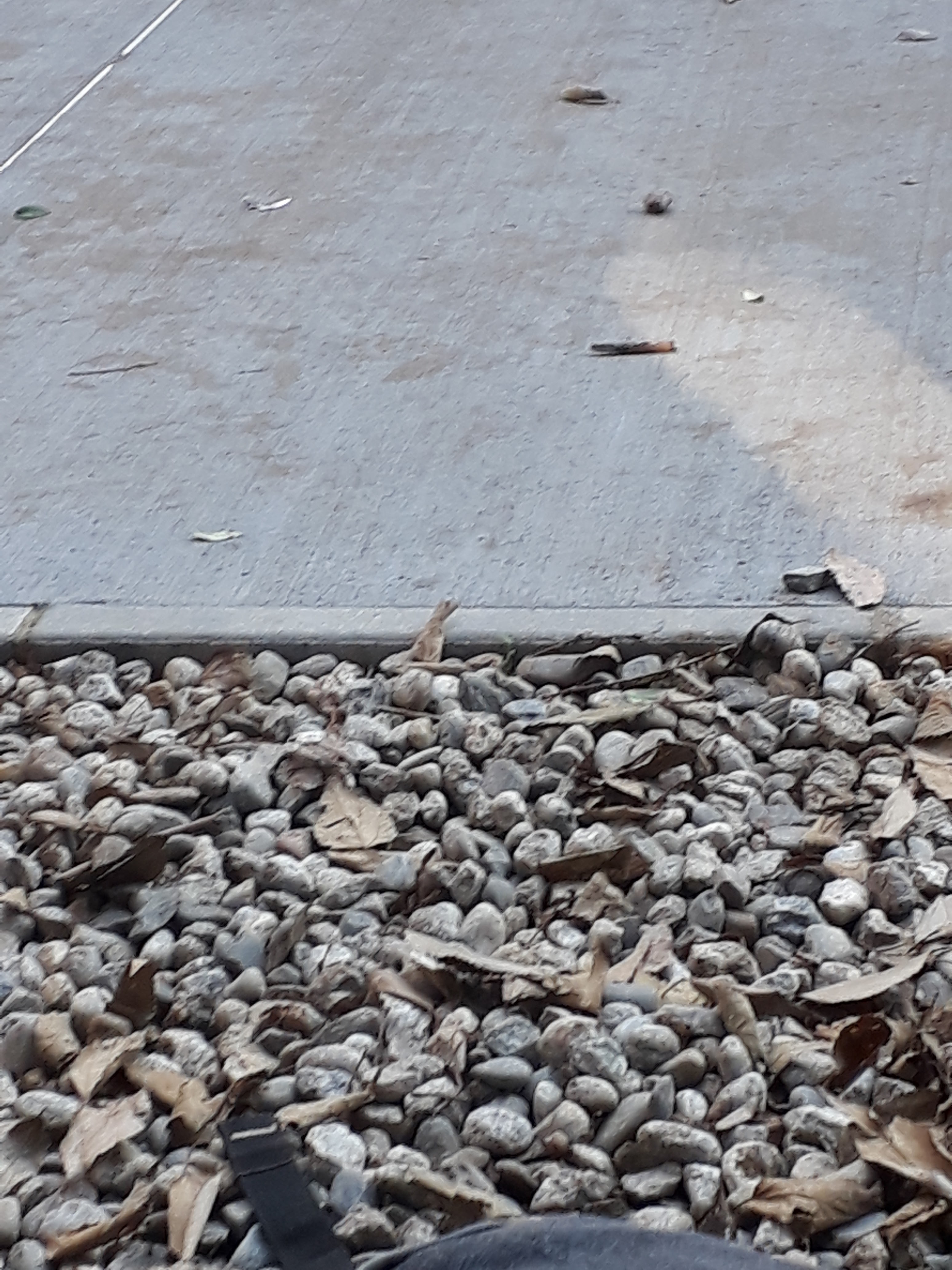 Photo n° 33 de l'avis de William.m fait le 11/12/2018 à 12:09