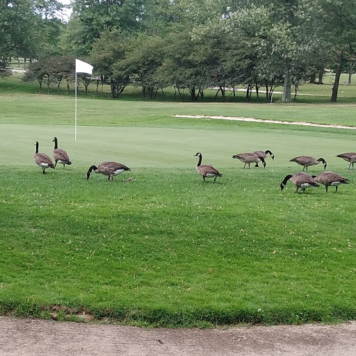 Golf Course «Highland Park Golf Course», reviews and photos, 3550 Green Rd, Highland Hills, OH 44122, USA