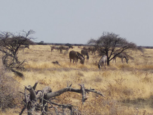 Travel Agency «Jerry Allen Travel Agency», reviews and photos, 20624 Biscayne Blvd, Aventura, FL 33180, USA