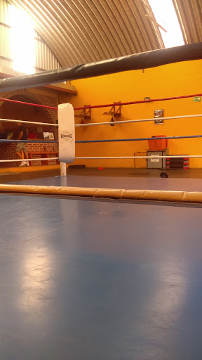 Puebla Boxing Club