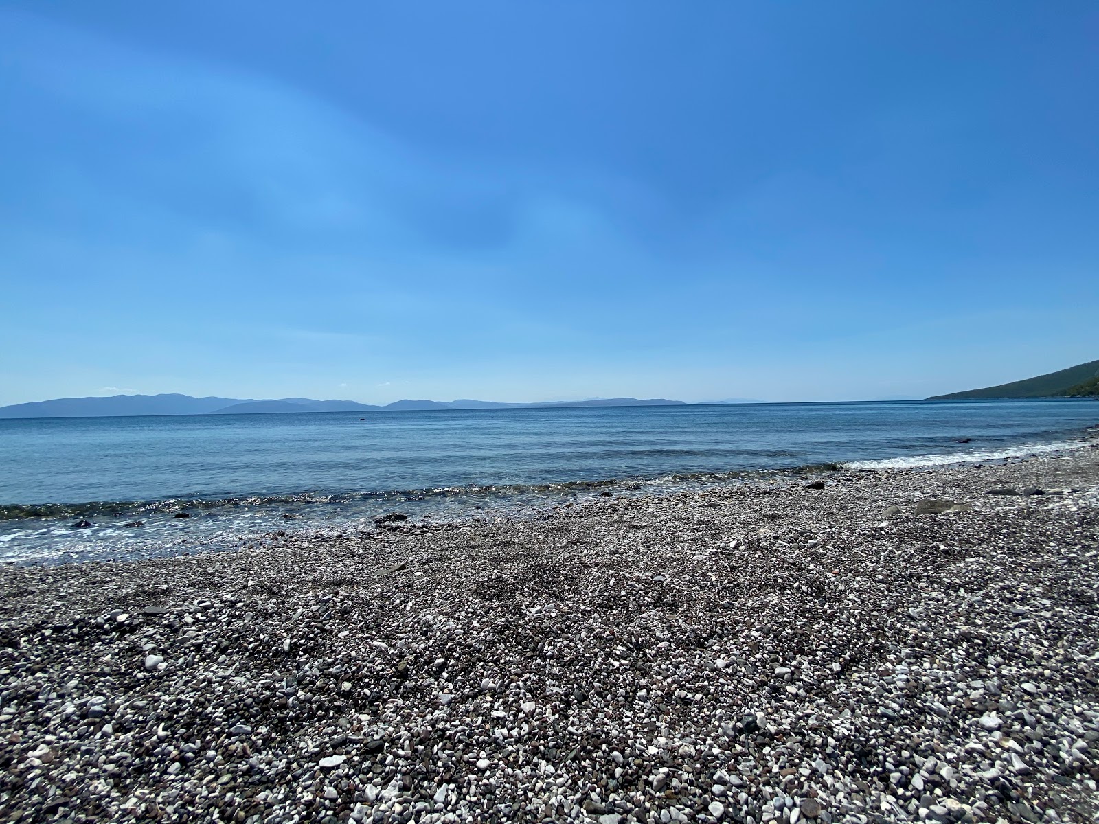 Valokuva Dafni of Evia beachista. villi alue