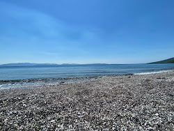Foto von Dafni of Evia beach befindet sich in natürlicher umgebung