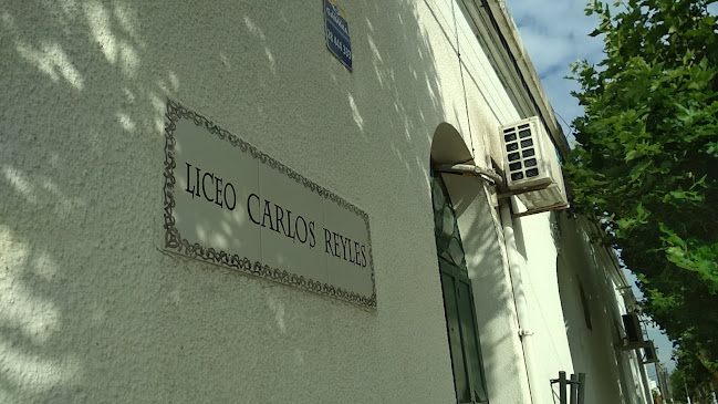 Liceo Carlos Reyles - Escuela