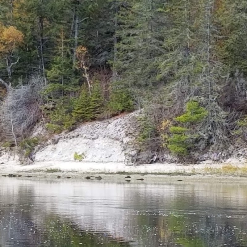 Whaleback Shell Midden State Historic Site