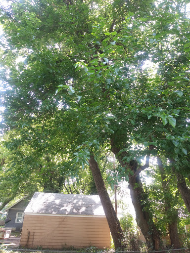 Hardware Store «Westlake Ace Hardware 055», reviews and photos, 3110 E Douglas Ave, Wichita, KS 67214, USA