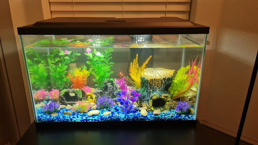 Pet Supply Store «Petco Animal Supplies», reviews and photos, 5177 Eldorado Pkwy, Frisco, TX 75033, USA