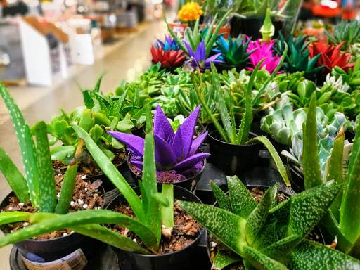 Home Improvement Store «The Home Depot», reviews and photos, 3350 N Woodlawn Blvd, Wichita, KS 67220, USA