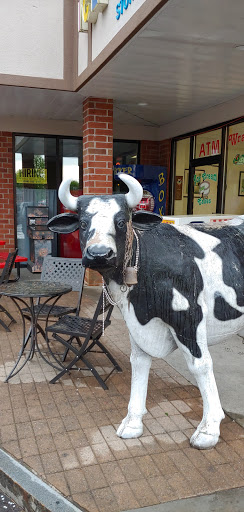 Ice Cream Shop «Corner Ice Cream Store», reviews and photos, 3770 Carman Rd # 1, Schenectady, NY 12303, USA
