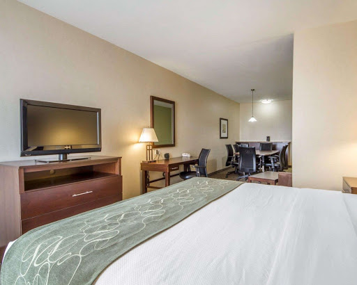 Comfort Suites image