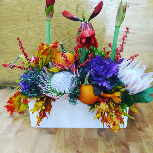 Florist «Alborada Florist», reviews and photos, 17 Huguenot St, New Rochelle, NY 10801, USA